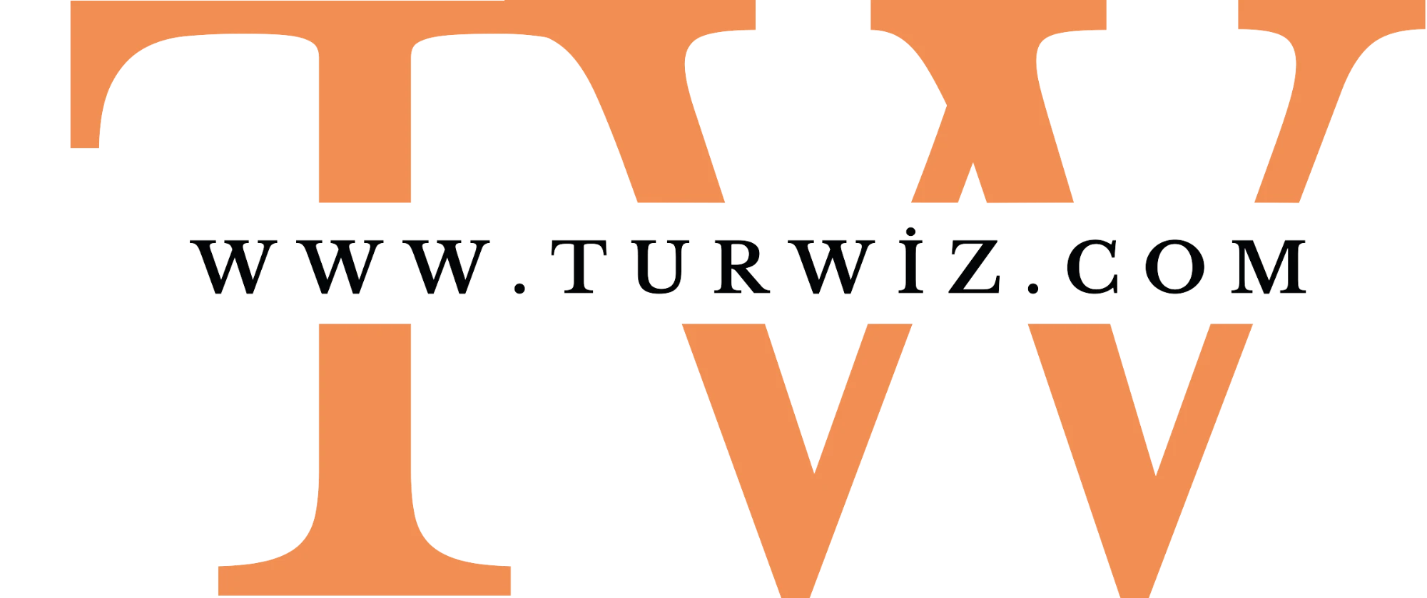 TurWiz logosu